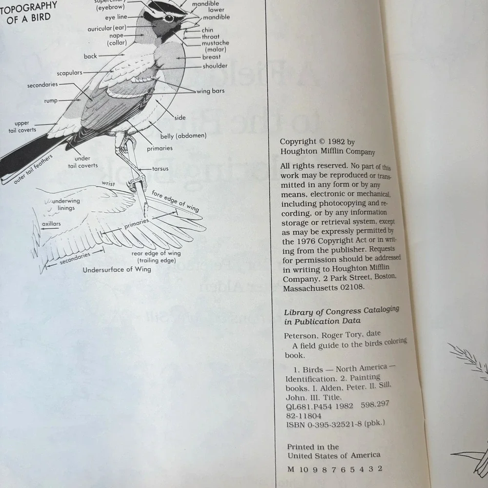 Vintage A Field Guide to the Birds Coloring Book Peterson 1982 Teaching Bird ID